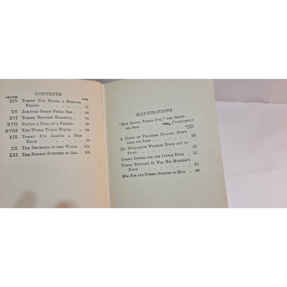 The Tale of Tommy Fox by Arthur Scott Bailey (1915) 1st Edition - Picture 7 of 8